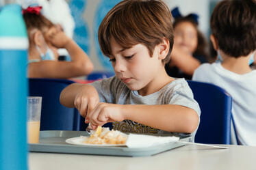 Excelencia académica | Colegio Menor Samborondón - Visual Time Line Tabs