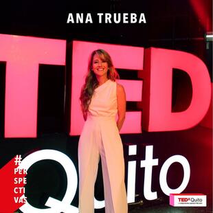 Academic Excellence | Colegio Menor Quito - Feature Cards Pattern 1