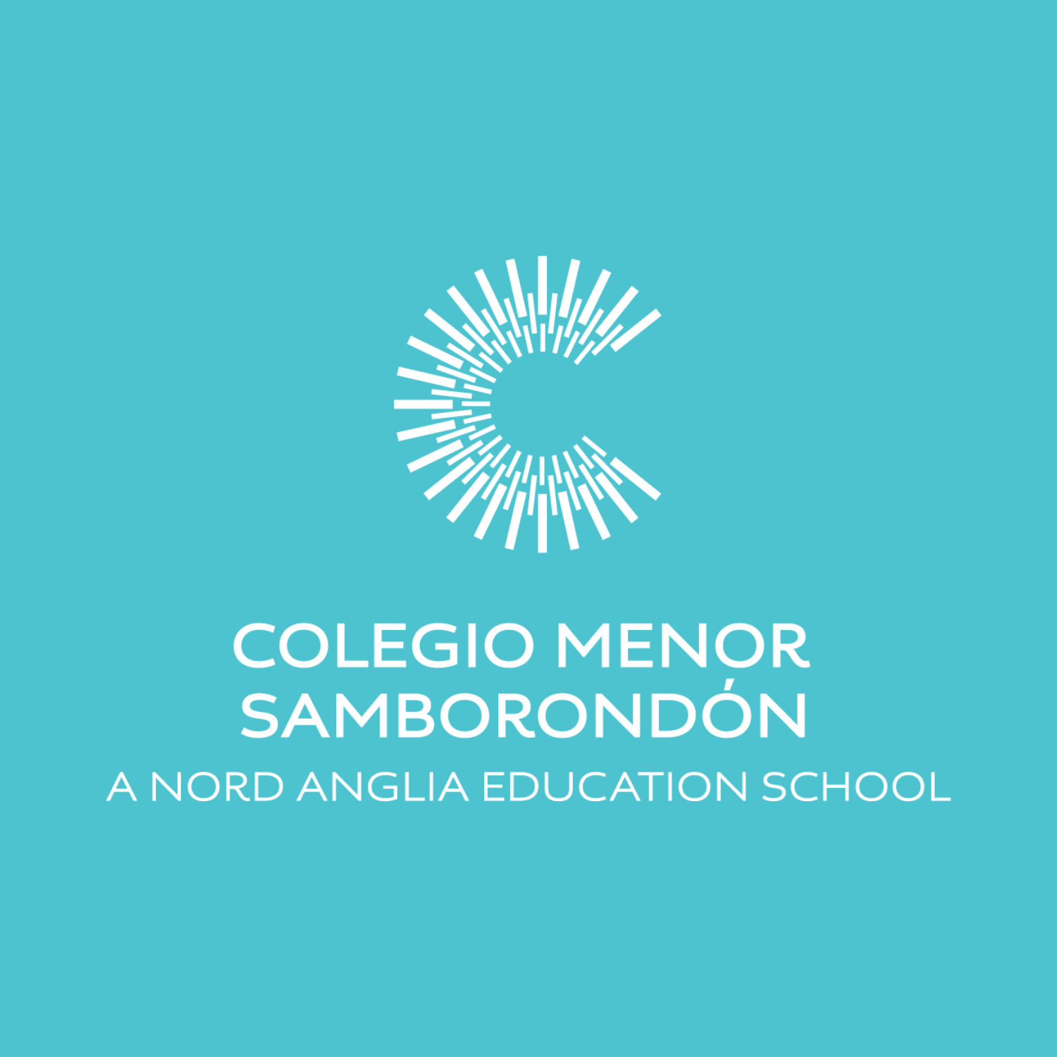Colegio Menor, Samborondón Careers - Feature Cards